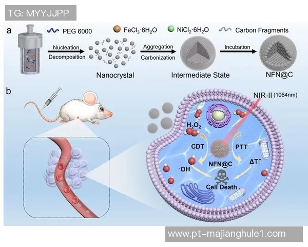和平精英战术分析RNG团队防反策略的深度解读与应用